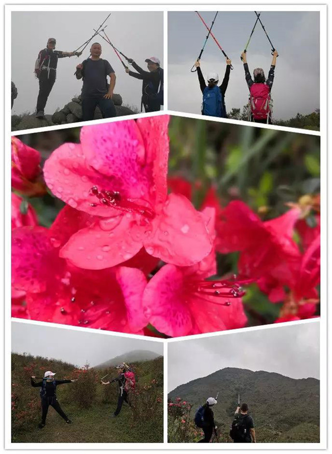 3月29日,云浮新興縣登天麓山&賞杜鵑花