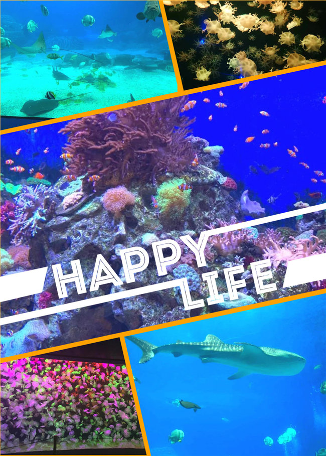 廣東博皓親子游：珠海長(zhǎng)隆海洋王國(guó)，探索海洋生物的奧秘，奇妙的動(dòng)物世界