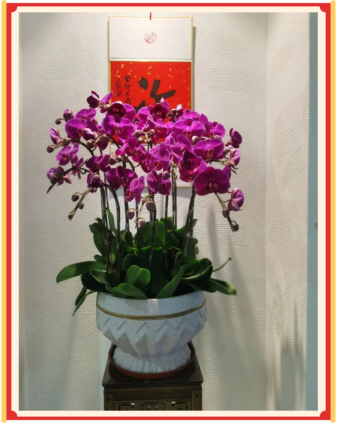 廣東博皓開(kāi)工大吉丨金虎騰躍,兔來(lái)運(yùn)轉(zhuǎn) -23