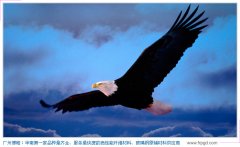 業(yè)績(jī)的背后 業(yè)績(jī)的背后